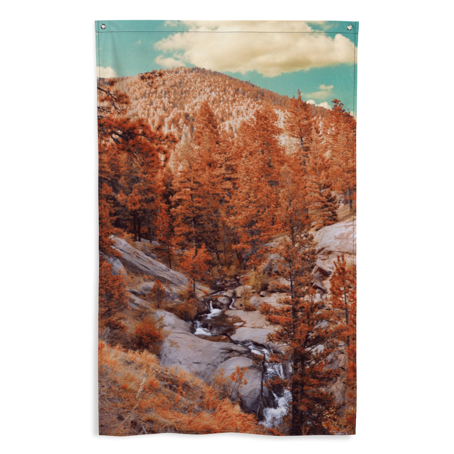Rocky Mountain Flag
