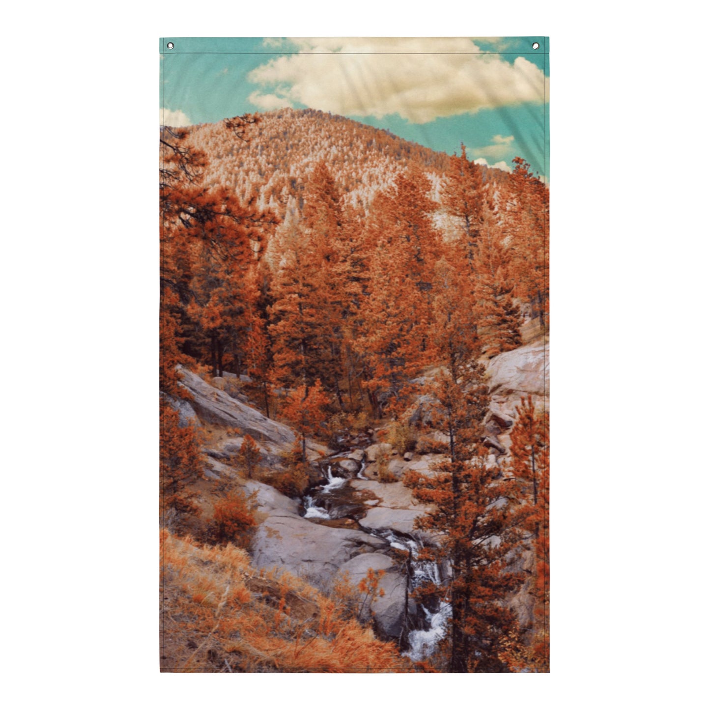 Rocky Mountain Flag